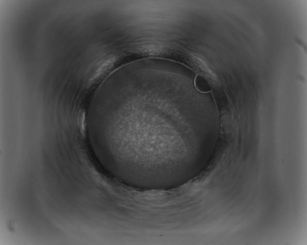 X0000093450024200710121403