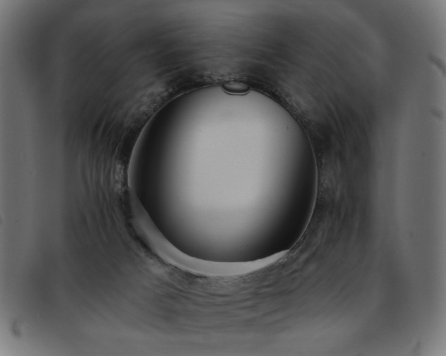 X0000093450025200710121403