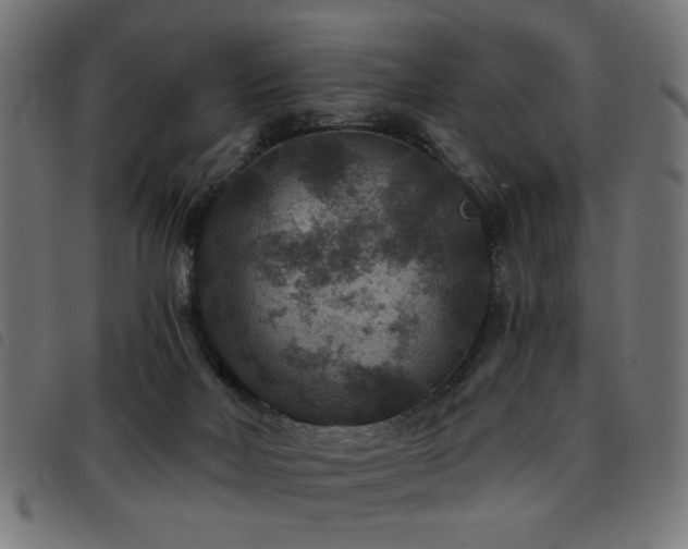 X0000093450026200710121403