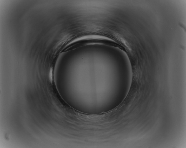 X0000093450027200710121403