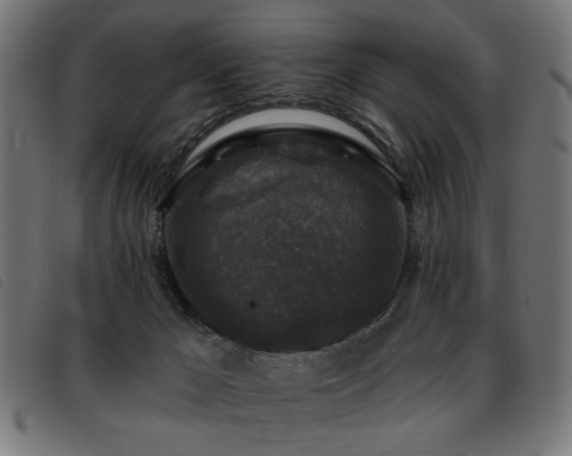 X0000093450029200710121403