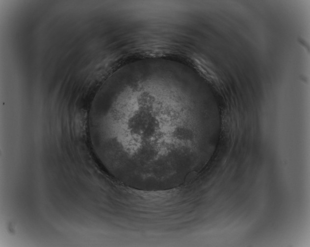 X0000093450030200710121403