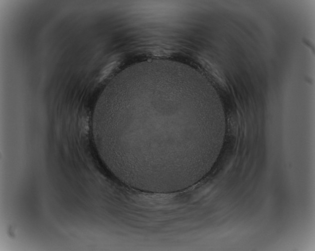 X0000093450032200710121403