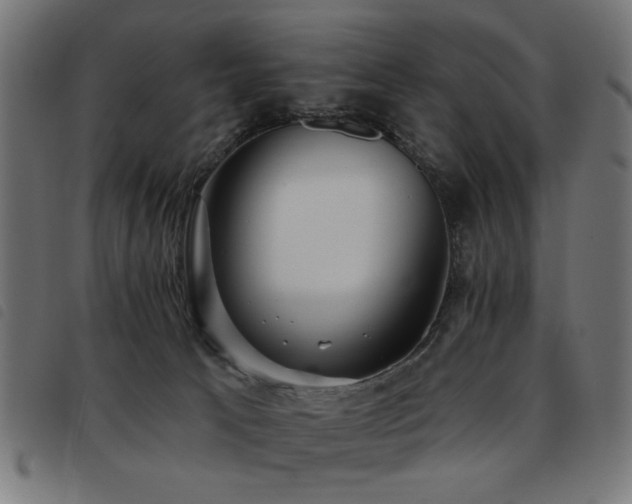 X0000093450033200710121403