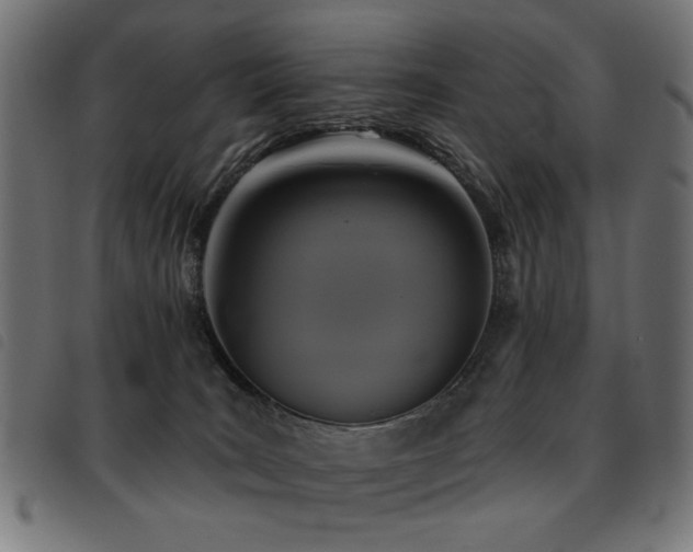 X0000093450035200710121403