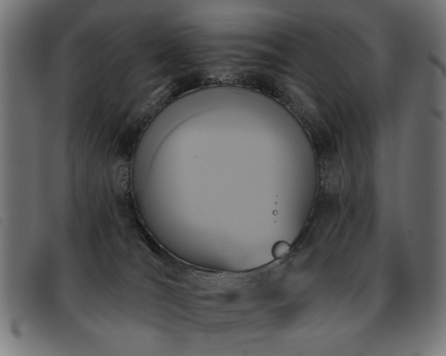 X0000093450036200710121403