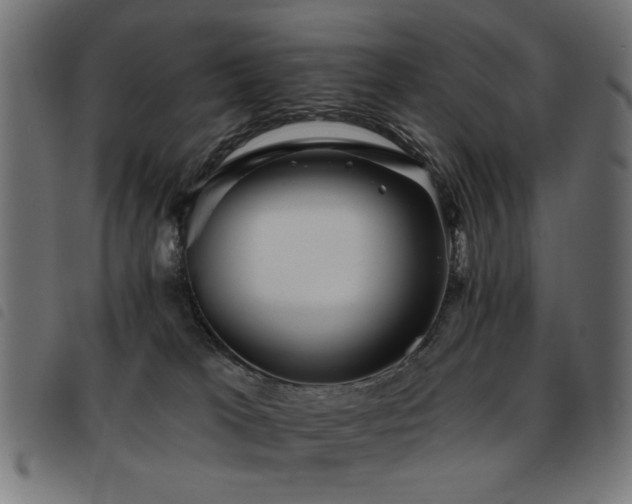 X0000093450037200710121403