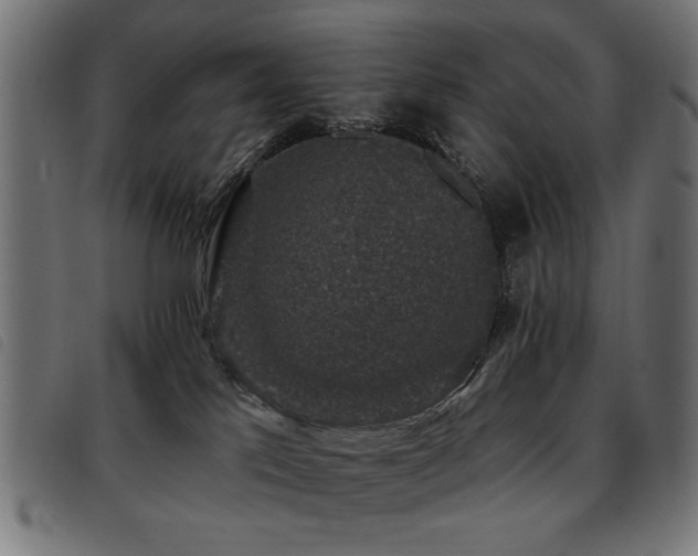 X0000093450041200710121403