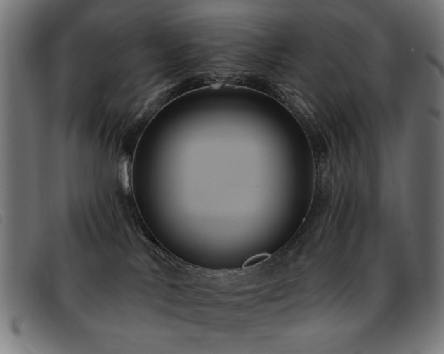 X0000093450042200710121403