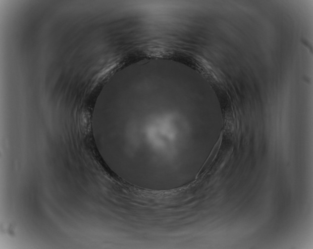 X0000093450043200710121403