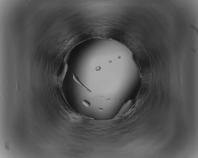 X0000093450045200710121403