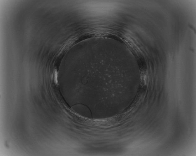 X0000093450046200710121403