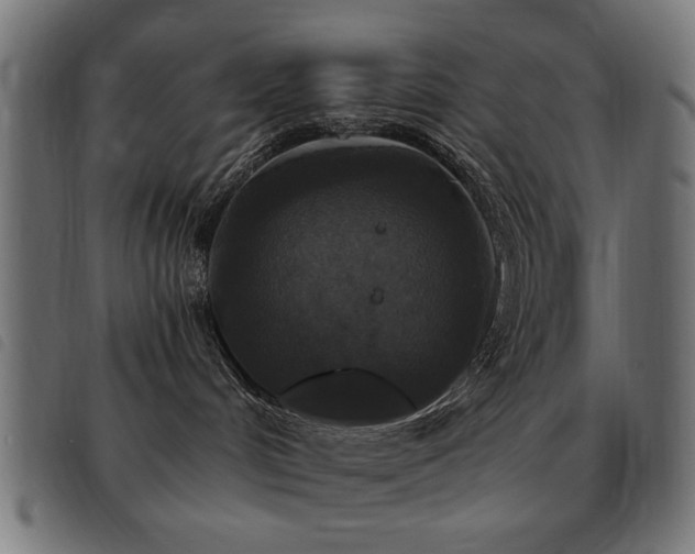 X0000093450048200710121403