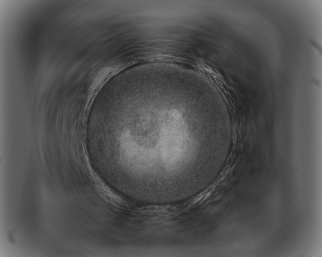 X0000093450049200710121402