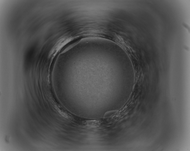 X0000093450050200710121402