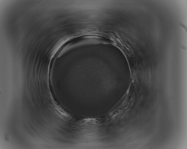 X0000093450052200710121402