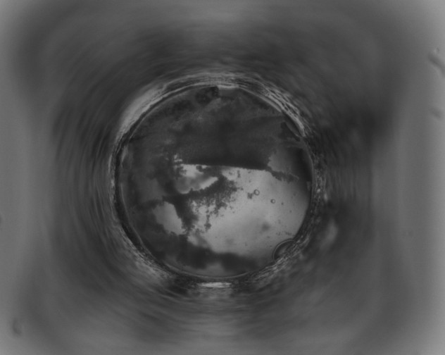 X0000093450053200710121402