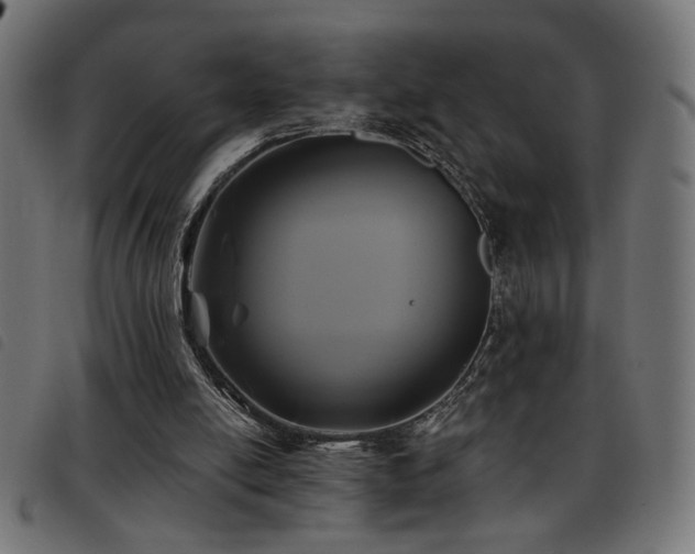 X0000093450054200710121402