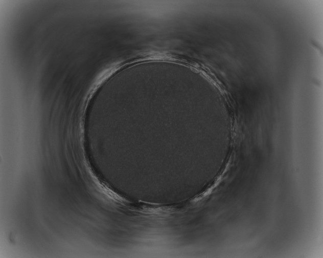 X0000093450055200710121402