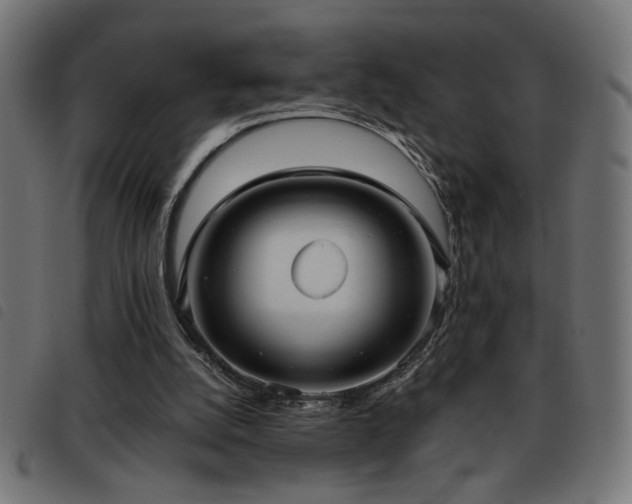 X0000093450056200710121402