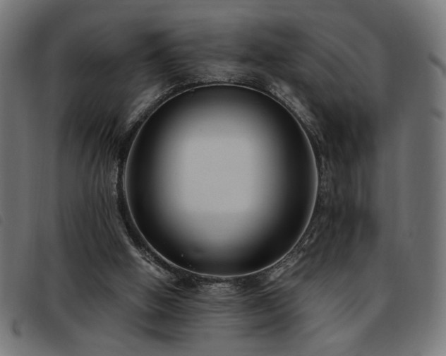 X0000093450058200710121402