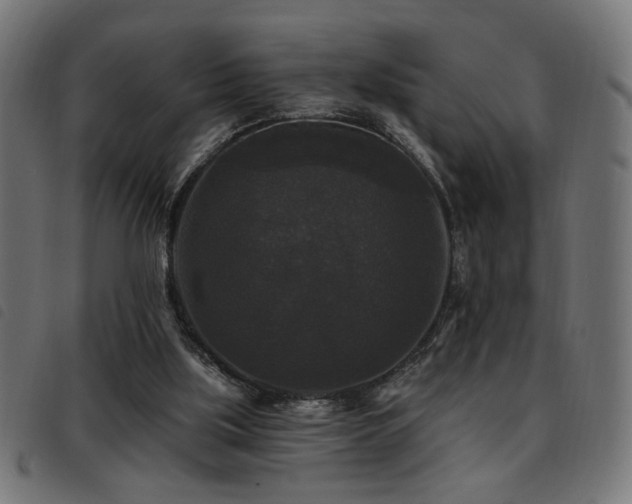 X0000093450059200710121402