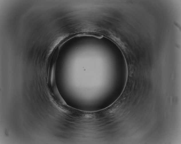 X0000093450060200710121402