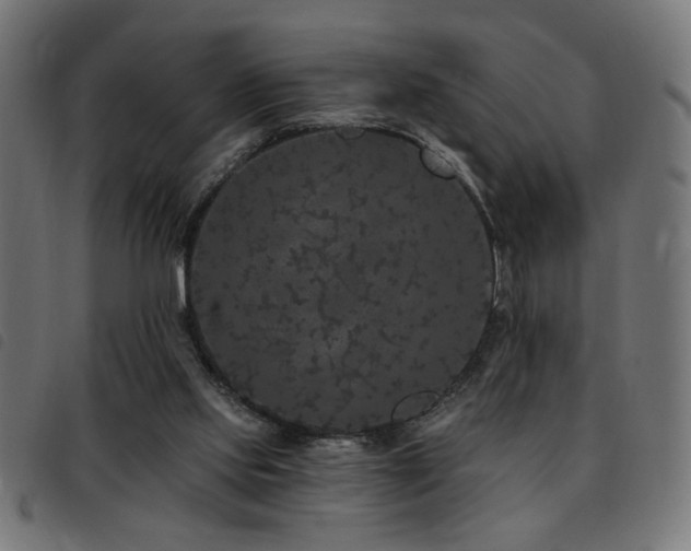 X0000093450061200710121402