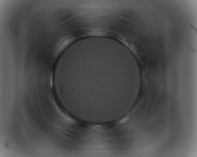 X0000093450062200710121403