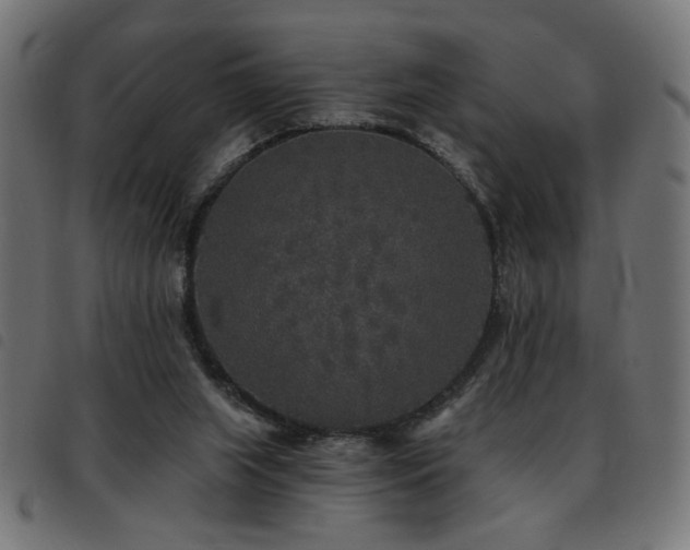 X0000093450063200710121403