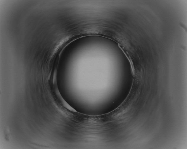 X0000093450064200710121403