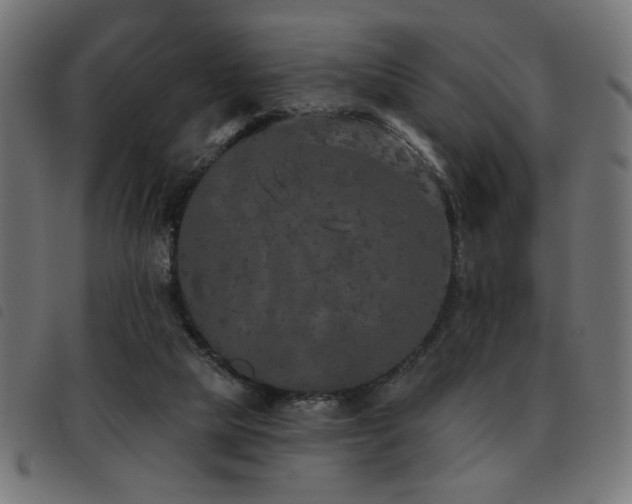 X0000093450065200710121403