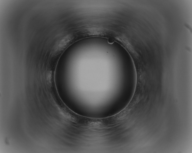 X0000093450066200710121403