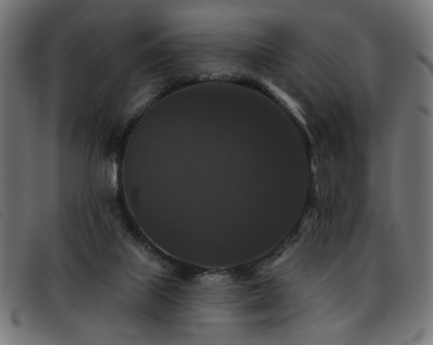 X0000093450067200710121403