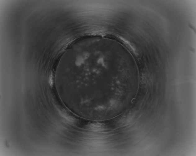 X0000093450069200710121403