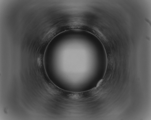 X0000093450074200710121403