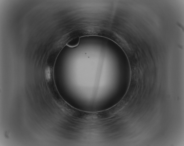 X0000093450075200710121403