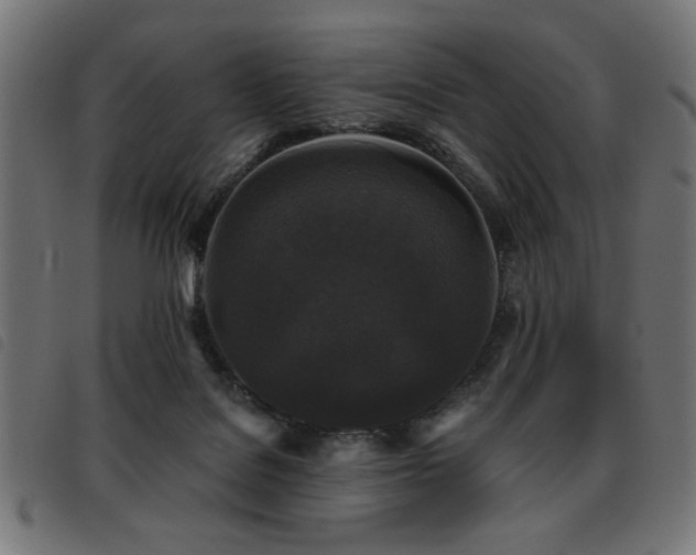 X0000093450076200710121403