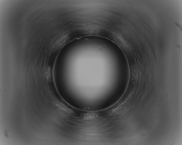 X0000093450077200710121403