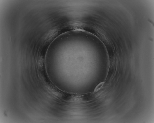 X0000093450078200710121403