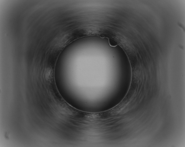 X0000093450079200710121403