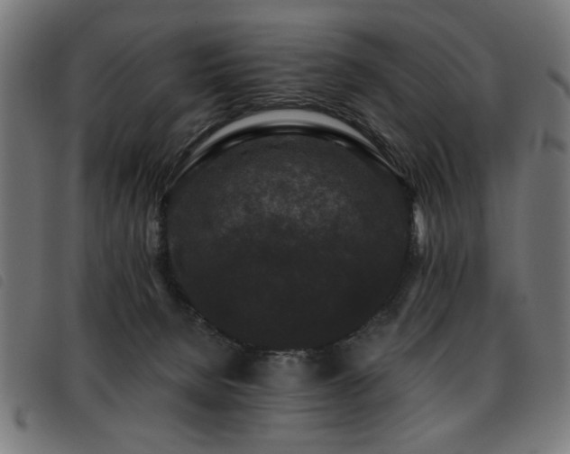 X0000093450080200710121403