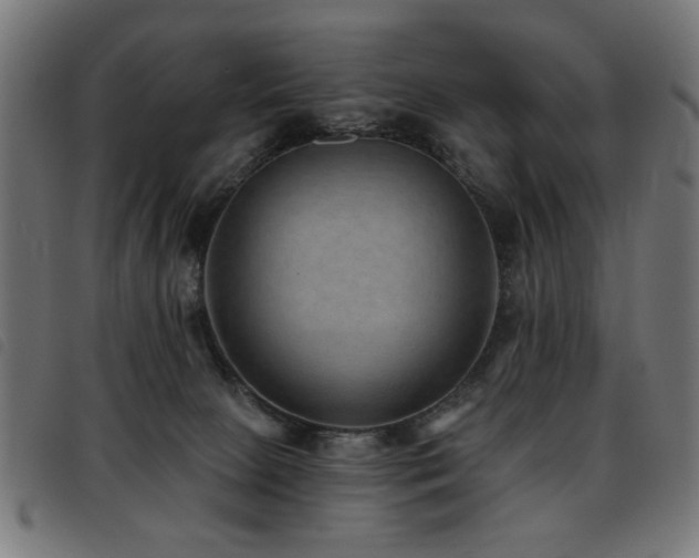 X0000093450081200710121403