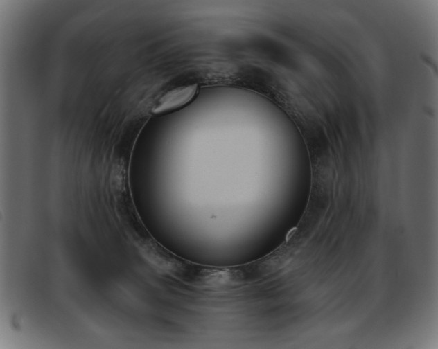 X0000093450083200710121403