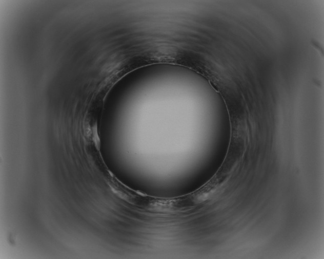 X0000093450084200710121403