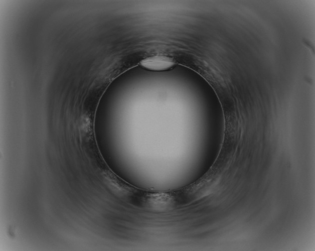 X0000093450087200710121403