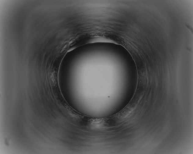 X0000093450088200710121403