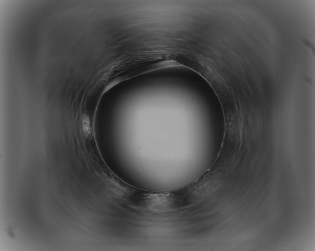 X0000093450089200710121403