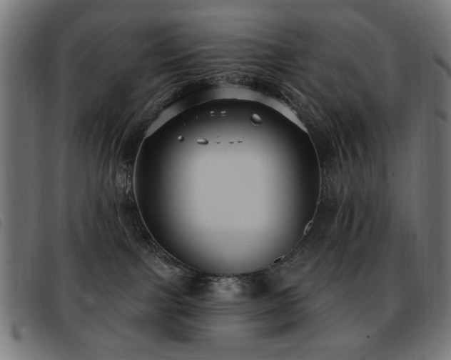 X0000093450091200710121403