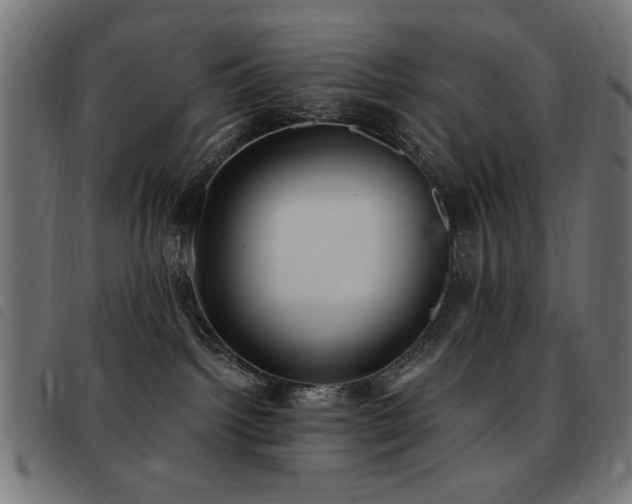 X0000093450092200710121403